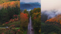 Golden autumn in East Kazakhstan from a bird’s-eye view – mesmerizing video