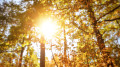 Warm weather to return to Kazakhstan