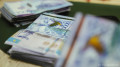 Russia to help Kazakhstan fight corruption and budget theft: lawmakers approve new law