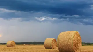 Wind and thunderstorms: weather in Kazakhstan on September 25