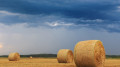 Wind and thunderstorms: weather in Kazakhstan on September 25