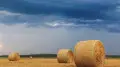 Wind and thunderstorms: weather in Kazakhstan on September 25