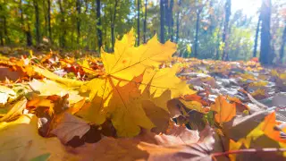 From heat to frost: sudden weather change in Kazakhstan