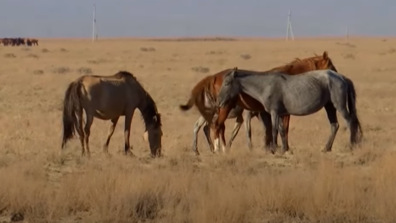 Image created from video frames