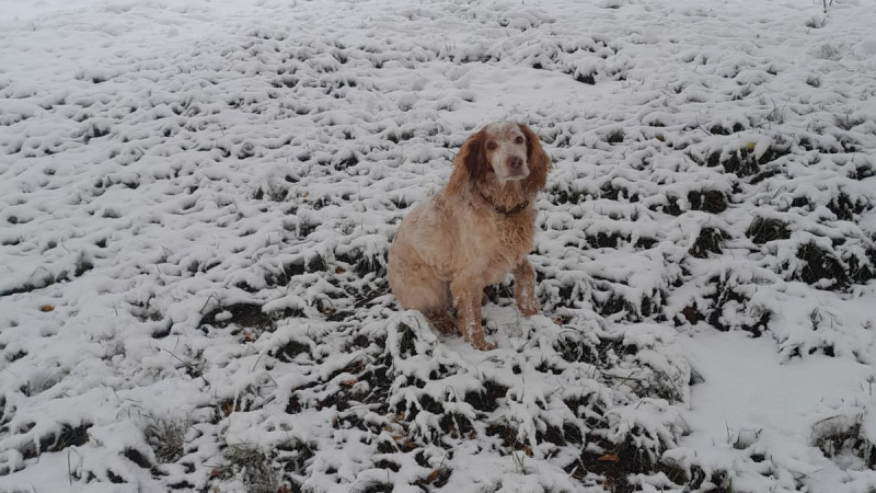 Photo by reader Tengrinews.kz