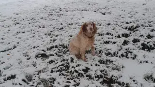 Why did it snow in September and what weather awaits Kazakhstan next