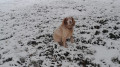 Why did it snow in September and what weather awaits Kazakhstan next