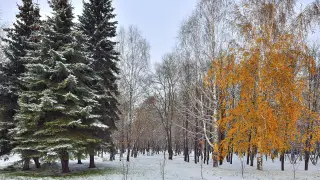 Where in Kazakhstan will there be snowfall and frost: list of cities