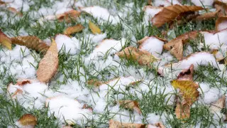 Heat up to +22°C, snow and frost: Weather forecast across Kazakhstan