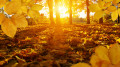 Warm days, frosty nights: forecasters report on the weather in Kazakhstan