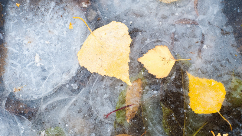 ©️ Depositphotos.com