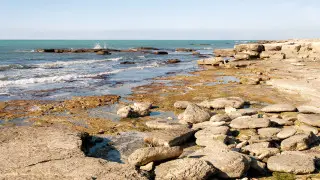 Caspian Sea drying: Tokayev appeals to Turkic states