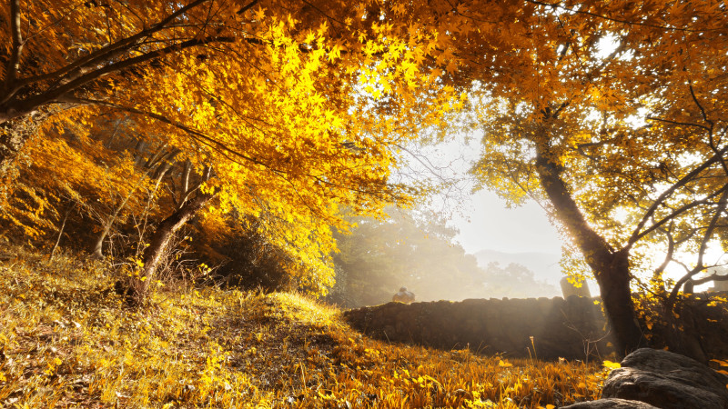 ©️ Depositphotos.com