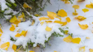 Northern anticyclone will cover Kazakhstan