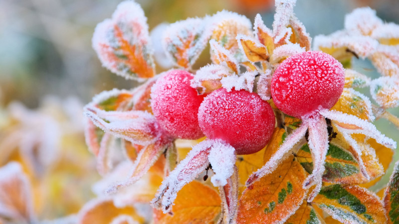 ©️ Depositphotos.com