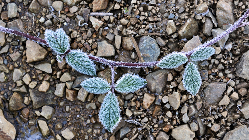 ©️ Depositphotos.com