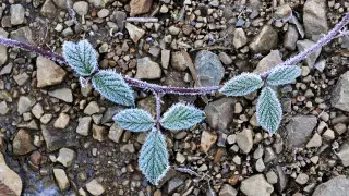 Fire danger and frost: storm warning issued in 14 regions of Kazakhstan