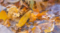 Warm, dry, and windy: Weather across Kazakhstan on October 20