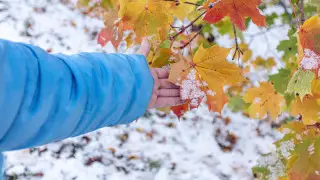 Forecasters warn of cooling across Kazakhstan