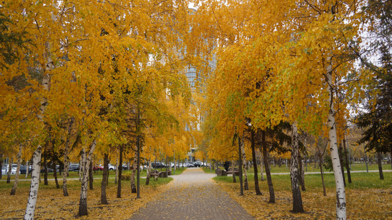 ©️ Depositphotos.com