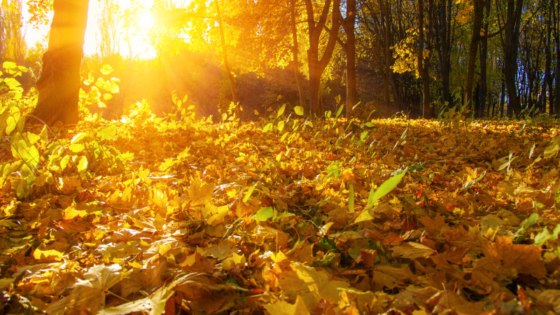 ©️ Depositphotos.com