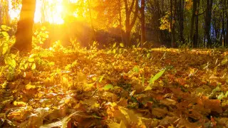 Warm weather up to +25°C to return to Kazakhstan: city-by-city forecast