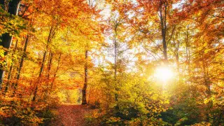 Warm up to +28°C will return to cities in Kazakhstan: weather forecast