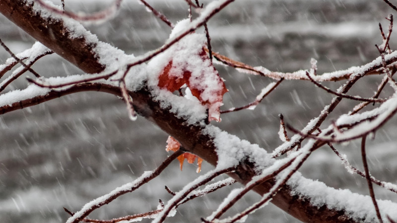 ©️ Depositphotos.com