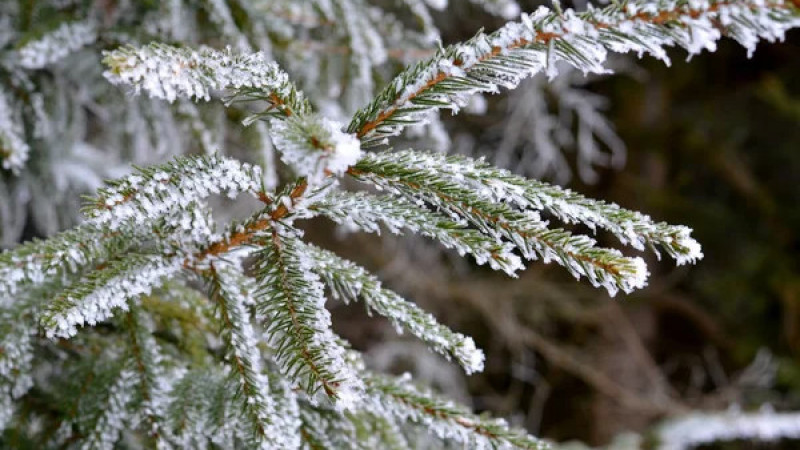 ©️ Depositphotos.com