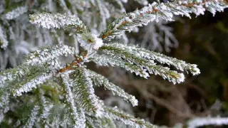 Snow, blizzards, and ice to hit cities across Kazakhstan: weather forecast for November 3