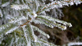 Snow, blizzards, and ice to hit cities across Kazakhstan: weather forecast for November 3