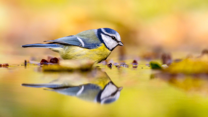 ©️ Depositphotos.com