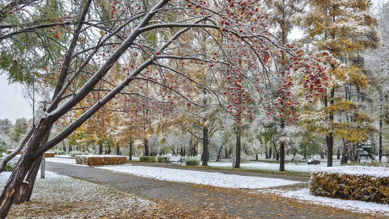 ©️ Depositphotos.com