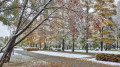 Weather forecast for Thursday in Kazakhstan: where to expect frost, snow, and fog