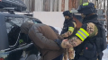 Special operation in Karaganda: police uncover an underground laboratory