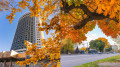 'The last breath of autumn': photographer shows how Almaty bids farewell to the golden season