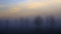 Fog, icy conditions, and precipitation: storm warning issued in 14 regions