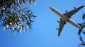New direct flights from Kazakhstan to be launched to several countries