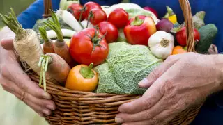 Tokayev calls for promoting the Qazaq Organicfood brand worldwide