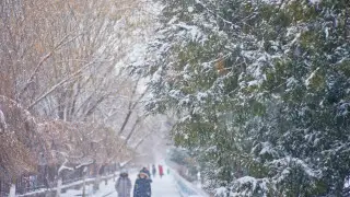 Frost, rain, and temperature swings: December weather forecast for Kazakhstan