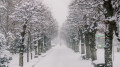 Blizzards will cover almost all of Kazakhstan