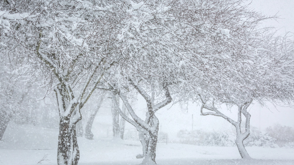 Kazakhstan to face fog, rain mixed with snow, and ice: Monday weather outlook