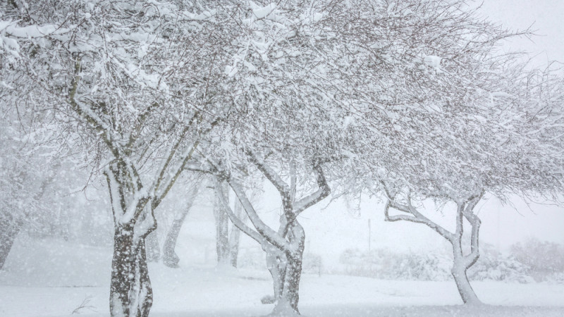 ©️ Depositphotos.com