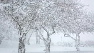 Kazakhstan to face fog, rain mixed with snow, and ice: Monday weather outlook