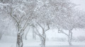 Kazakhstan to face fog, rain mixed with snow, and ice: Monday weather outlook