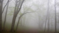Kazakhstan to be shrouded in fog: storm warning issued in 17 regions