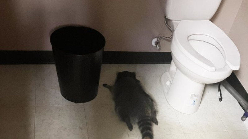 Photo: x.com/VirginiaABC