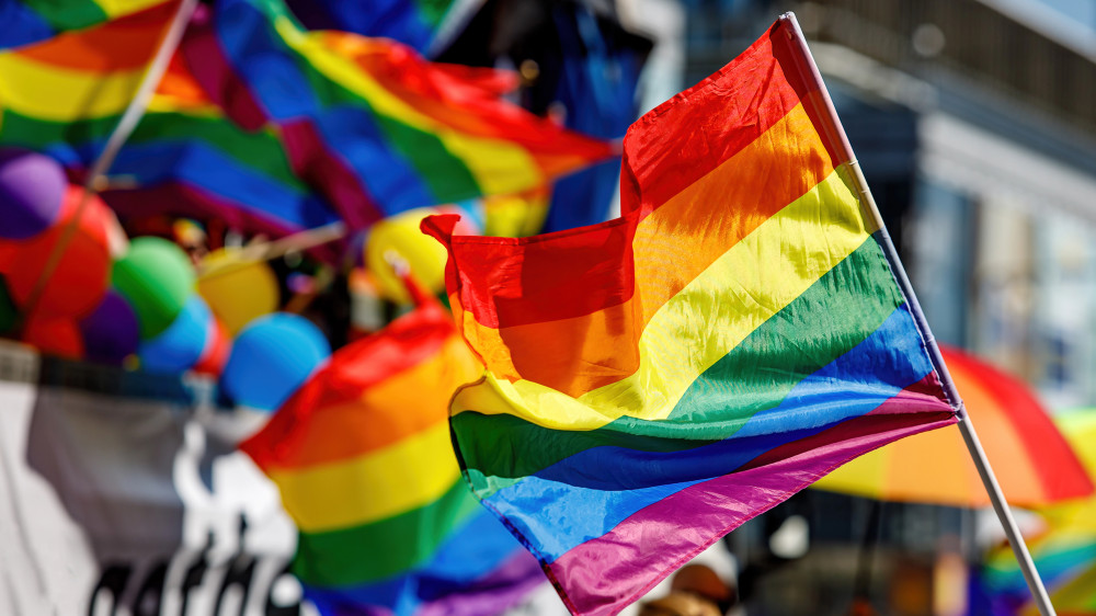 Senate postpones consideration of LGBT propaganda ban