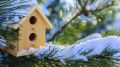 Astana under snow, Almaty expecting colder weather: 3-day forecast
