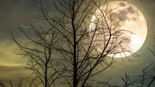 The last supermoon of the year: when to see the cold moon